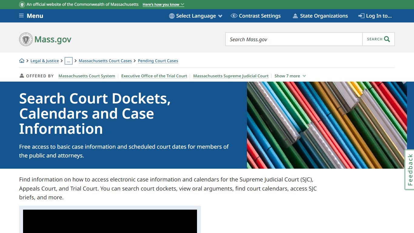 Search Court Dockets, Calendars and Case Information